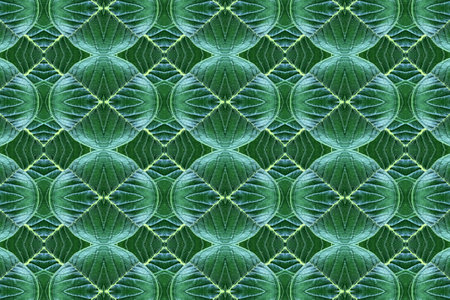 Seamless pattern of green leaves. For eg fabric, wallpaper, wall decorations.の写真素材