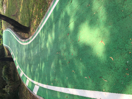 Bicycle lane with green grass and shadow on the ground in the parkの写真素材