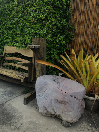 Wooden chair in the garden with green plant on the wall.の写真素材