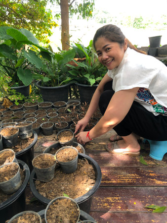 Young woman is planting seedlings in a pot on the wooden floor.の写真素材