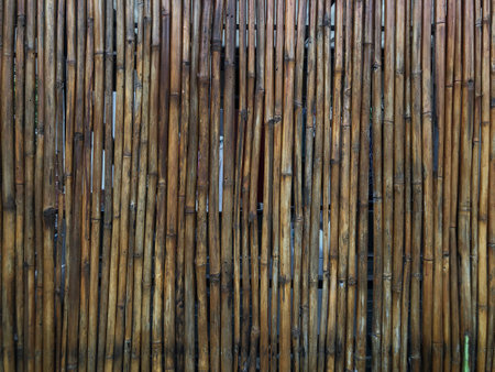 Bamboo fence texture background close up. Bamboo fence background.の写真素材