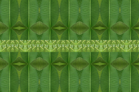 Green leaf seamless pattern. For eg fabric, wallpaper, wall decorations.の写真素材