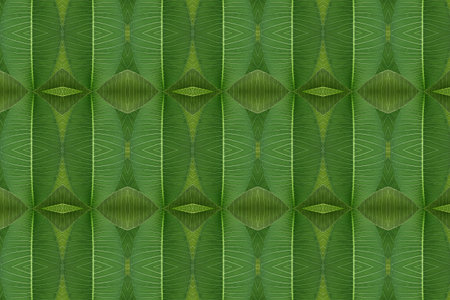 Seamless texture of leaves. For eg fabric, wallpaper, wall decorations.の写真素材