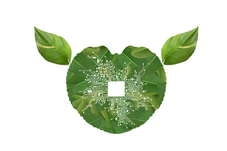 Circuit board in form of heart with green leaves isolated on white