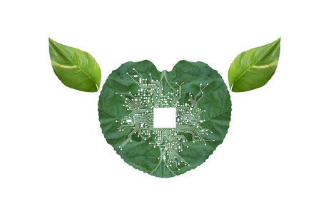 Circuit board in the shape of a human head with green leaves