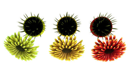 Three ornamental gerbera daisies in red, yellow and green with matching cylindrical containers, isolated on whiteの写真素材