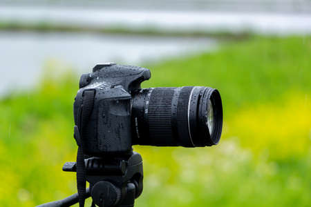 Close-up of a professional camera on a tripod on a blurred background.の写真素材