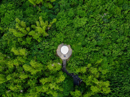 Aerial view of a lighthouse in the middle of a green forest.の写真素材