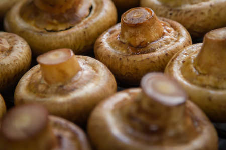 Portobello mushrooms on grillの写真素材