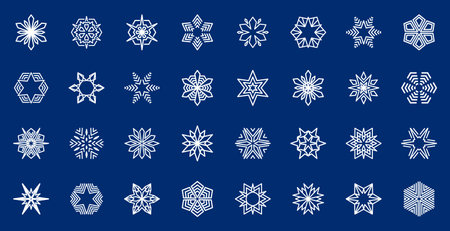 Collection of vector snowlakes. Snow icons setのイラスト素材