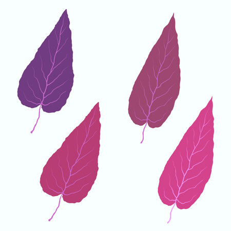 Autumn leaves on white background, vectorのイラスト素材