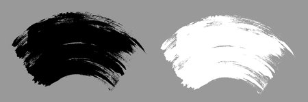 Brush stroke vector. Painted curves, arc linesのイラスト素材