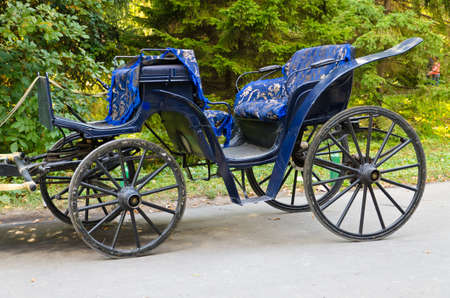 Old becoming blue the carriage for transportation of tourists on Dendro to park Uman