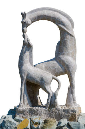 Beautiful detailed naturalistic stone sculpture of two giraffes with a mother bending down to nuzzle her young calf isolated on whiteの写真素材