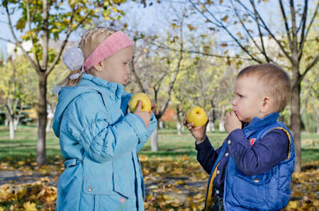 Cute little blonde brother and sister eating fresh apples in the park while enjoying an autumn day outdoorsの写真素材