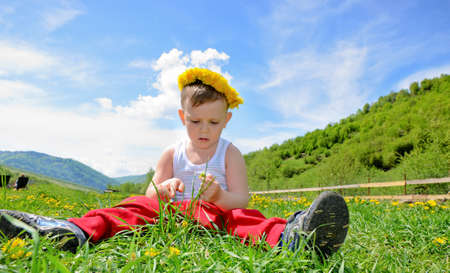 Handsome little boy sitting on the Greenfield and picking flowersの写真素材