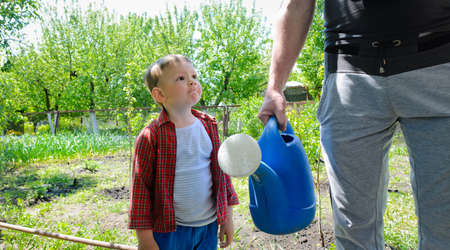 Little boy helping to water the garden standing waiting expectantly next to his father who is holding the watering canの写真素材