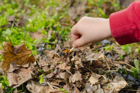 Child striking a safety match on a box of matches against a green grass background , close up of the handの写真素材