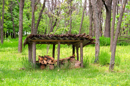 Woodshed With Some Firewood in the Forest on a bright day.の写真素材