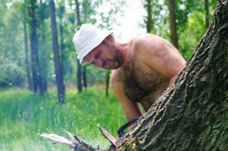 Fit shirtless man wearing a hat carrying a portable petrol chainsaw in woodland as he prepares to...