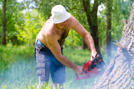 Shirtless man cutting down a tree trunk felling it with a portable petrol chainsaw in a cloud of sawdust in lush green woodlandの写真素材