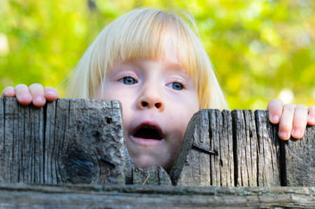 Cute little blond girl peering over an old weathered rustic fence watching with her mouth open...