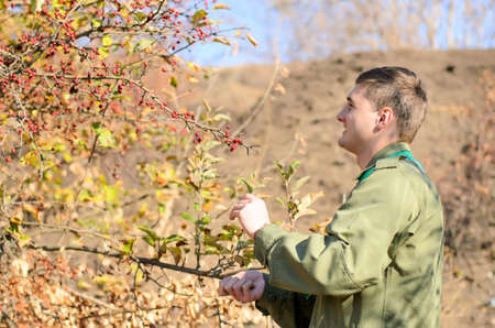 Scout checking out autumn berries reaching up into a tree to pick some as he hikes through the...