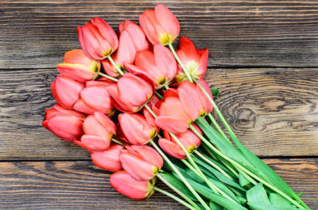 Bouquet of delicate fresh red tulips lying on a wood textured background with wood grain pattern and copyspace for a Valentines Day cardの写真素材