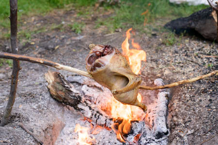 Cooking a whole chicken on a single long stick over a campfire with burning coals and hot flames...