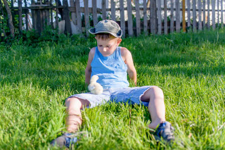 Young Boy Sitting Outdoors in Long Grass Playing with Small Fuzzy Yellow Chick on Quaint Rural Farm in Bright Summer Sunlightの写真素材