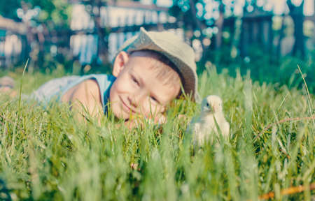 Portrait of Young Boy Wearing Hat Lying in Long Green Grass with Fuzzy Yellow Chick on Quaint Rural Farmの写真素材