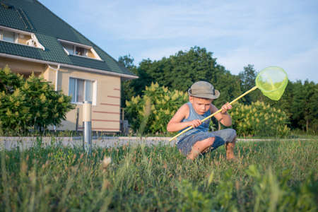 Portrait of Serious Young Boy with Bug Net Crouching in Long Grass on Lawn Outdoors in Summerの写真素材