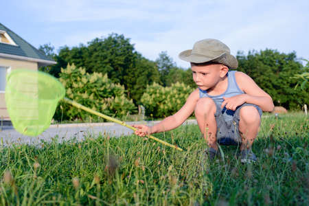 Young Serious Boy with Bug Net Exploring Long Grass on Lawn in front of Homeの写真素材