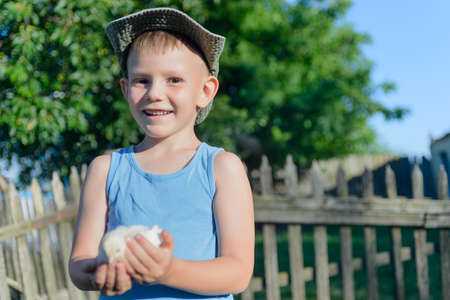 Cute White Young Boy Holding His Little Chick While at the Grassy Garden and Ready to Play.の写真素材
