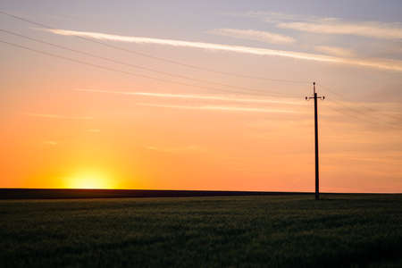 Scenic View of Hydro Poles and Wires Running Alongside Road in Flat Rural Area in Warm Sunrise or Sunset Light, Tranquil Landscape of Country Fieldsの写真素材