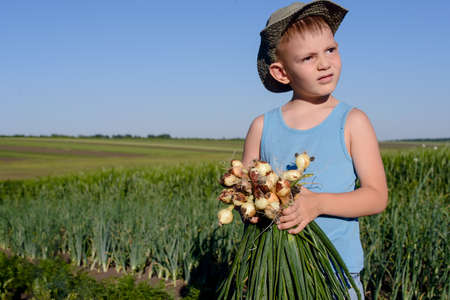 Cute White Young Boy Holding Green Onions Harvested at the Farm While Looking Into Distanceの写真素材
