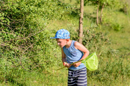 Young Boy Holding his Catcher Net as he Looks Down to the Grass Seriously to Find Insects to Catch on a Very Sunny Day.の写真素材