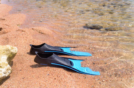 Summer seaside fun with a pair of flippers lying ready for skin diving on a sandy tropical beach at the edge of the seaの写真素材