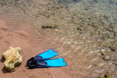 Summer seaside fun with a pair of flippers lying ready for skin diving on a sandy tropical beach at...