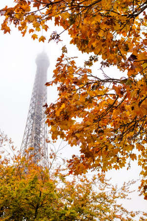 Eiffel Tower, Paris, France on a misty autumn day viewed between the colorful bright yellow fall...