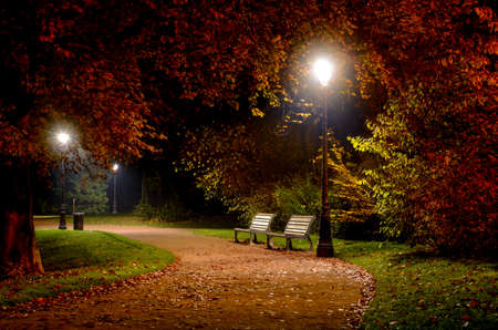 Winding pathway through colorful autumn woodland with two wooden rustic benches illuminated at night by wrought iron street lamps in a tranquil sceneの写真素材