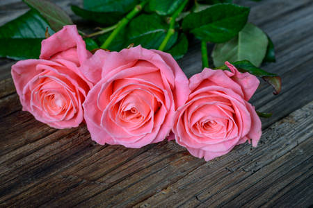Close up on bundle of beautiful stemmed pink roses over old wooden table at angleの写真素材