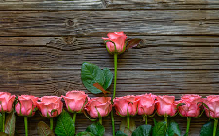 Border of romantic pink fresh roses with a single longer stemmed rose in the center on a rustic wooden background with copy space for your Valentines messageの写真素材