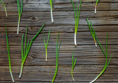 Freshly cut fragrant green onion spaced out across a knotted dark wood backgroundの写真素材