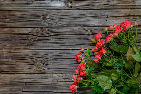 Bouquet of lovely freshly cut pink roses on stems by small blue present tied with ribbon against a wood backgroundの写真素材