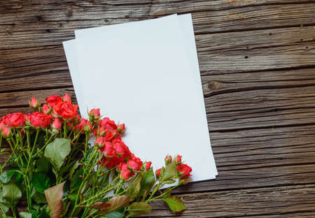 Bunch or fresh red roses for a Valentines sweetheart arranged in the corner of sheets of blank white notepaper for your greeting to a loved oneの写真素材