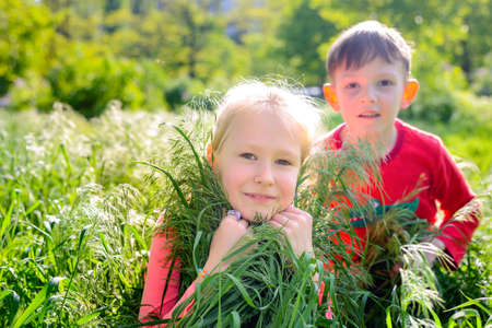 Young girl and boy playing in lush spring grass crouched down looking at the camera with focus to the pretty young blond girl in the foregroundの写真素材