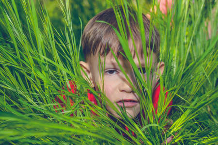 Serious handsome little boy lying on his stomach peering out from lush green spring grass at the cameraの写真素材