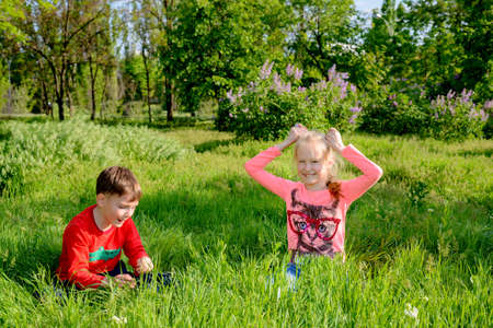 Two happy young children, a blond girl and boy, playing in lush green long grass in a garden park grinning happily at the camera as they crouch downの写真素材