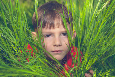 Serious handsome little boy lying on his stomach peering out from lush green spring grass at the...
